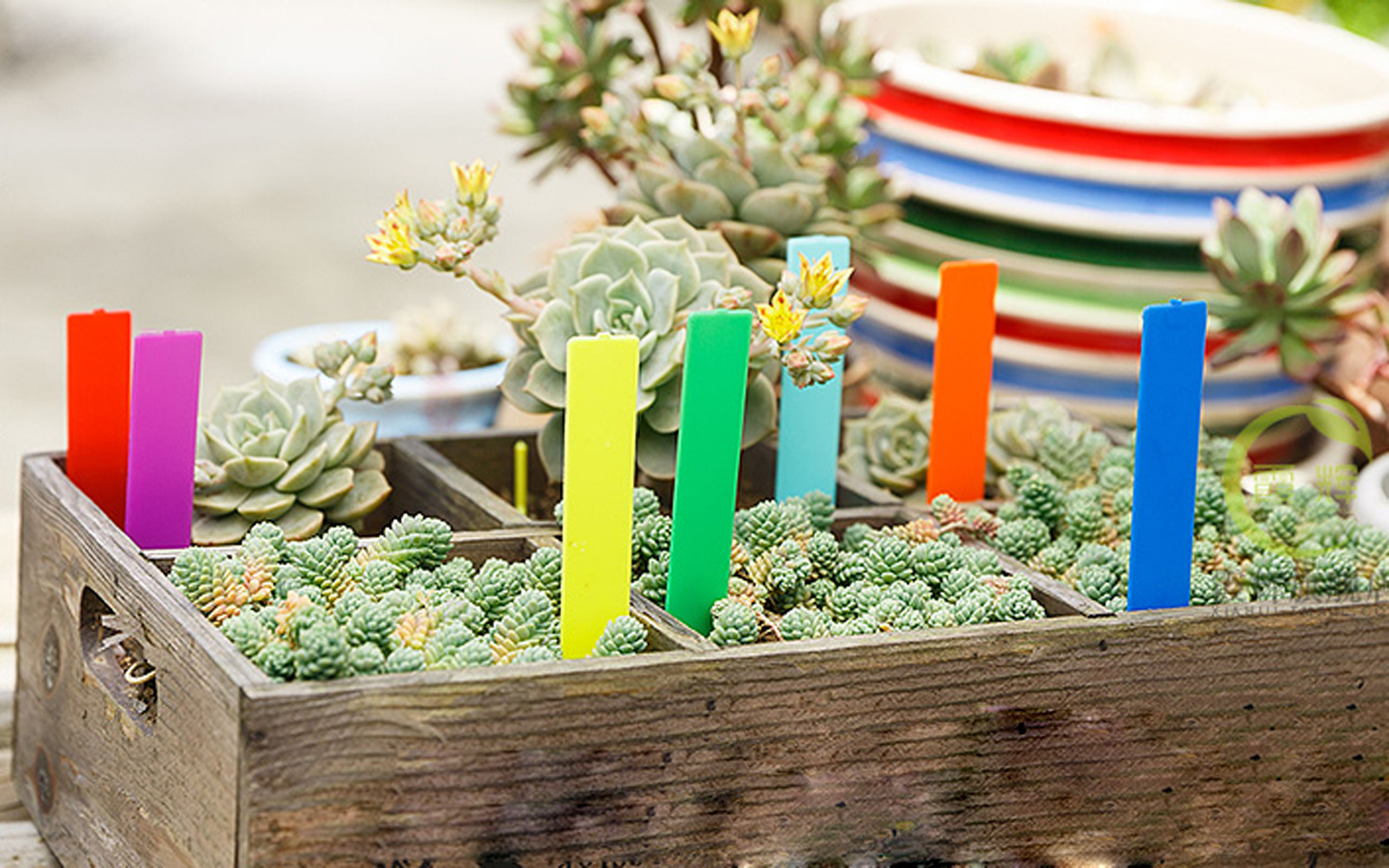 Etichette per piante in PVC da 200 pezzi etichette per piante etichette per piante in vaso di fiori impermeabili etichette per piante da giardiniere per palo etichette per piante da giardino tutto'aperto