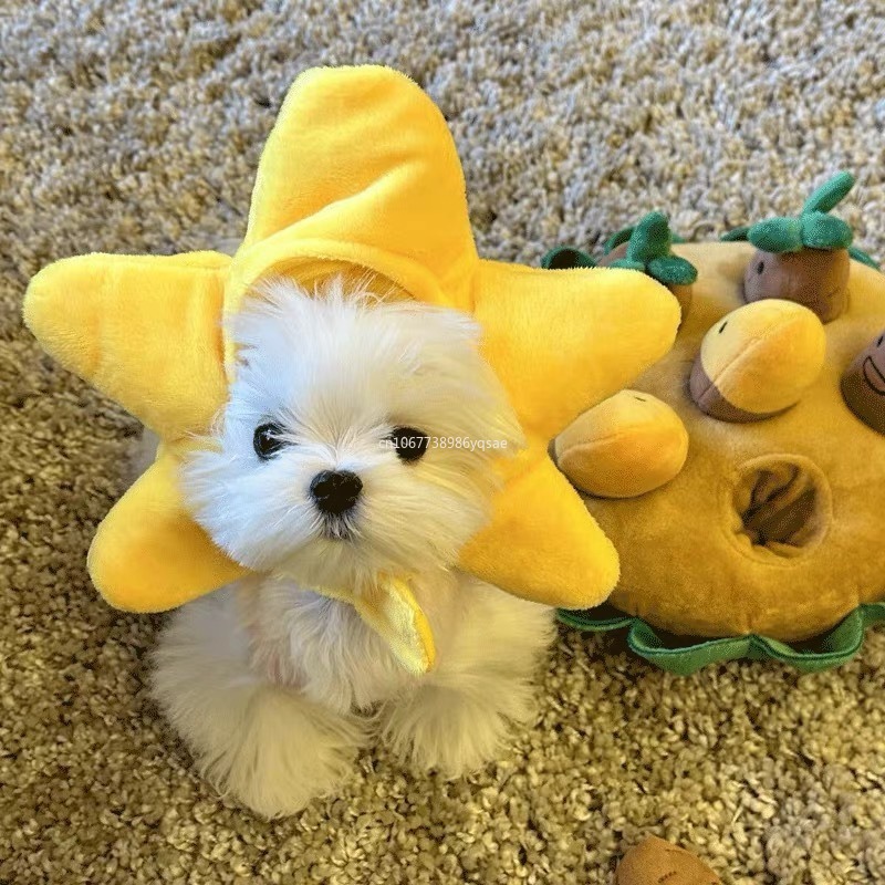 Söta sällskapsdjur pannband plysch garn katt hund keps panda gris cosplay huvudbonad chick tillbehör husdjur hatt husdjur kostym varm аксесуары для собак