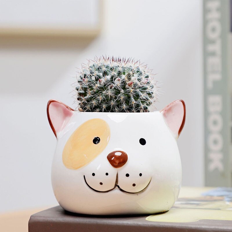 Bongwell – Pot de fleur artisanal en céramique peint à la main, joli Animal Panda, Succulent, plante verte, bassin de décoration: glazed 3