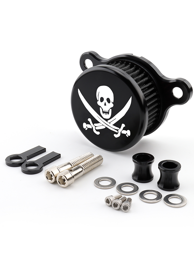 Système d'admission de filtre à Air de crâne de moto pour Harley Sportster XL883 XL1200 Iron 883 quarante-Eghit soixante-deux Nightster: Champagne