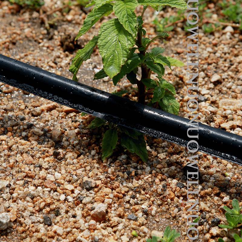 10 ~ 80m 0.2mm tjocklek 16mm bevattning droppslang jordbruksbevattning vattning spara dropptejp enkelbladig labyrintslang