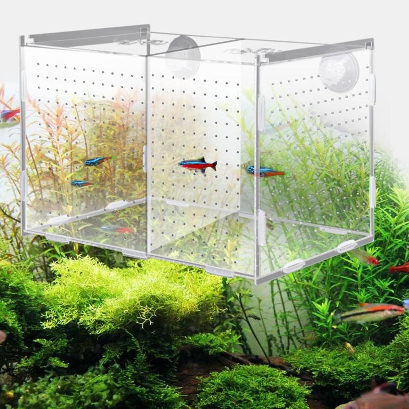 Guppy opdrætsboks akryl akvarium isoleringsboks fiskeæg opdræt etui lille fisk værelse