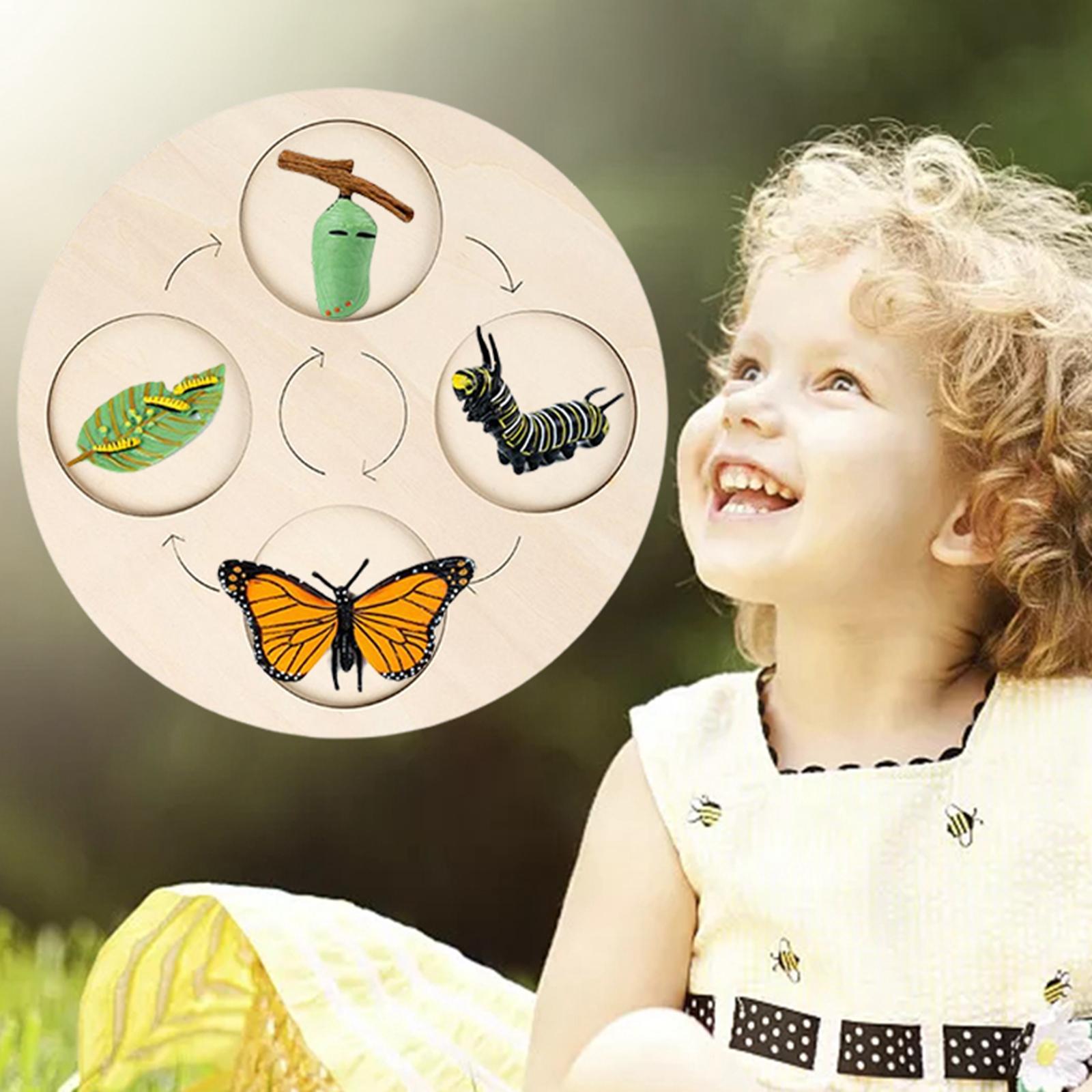 Montessori Life Growth Cycle Board Puzzle do zabawy dla dzieci zwierzęta wczesna edukacja prezenty zabawka na prezenty przedszkole 3 4 5 6 lat dzieci: Butterfly