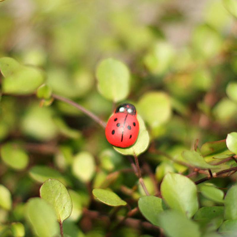 Ornements de jardin bricolage mini coccinelle mousse | 10 pièces, dessin animé tendance, ornements micro paysage, ornements de bricolage