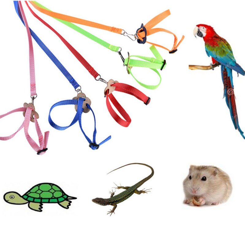 Coleira de papagaio ajustável, 8 tipos, coleira e coleira, corda de treinamento, voo ao ar livre, antimordida para aves, papagaio hamster lizard