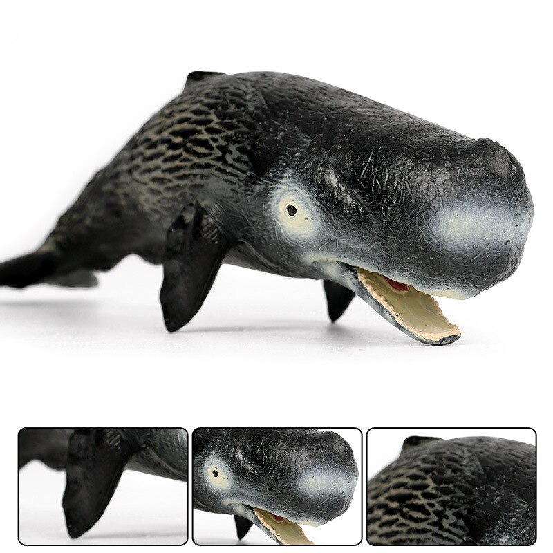 Witte Haai Megalodon Walvis Beluga Oceaan Model Figuur Collector Speelgoed Kids