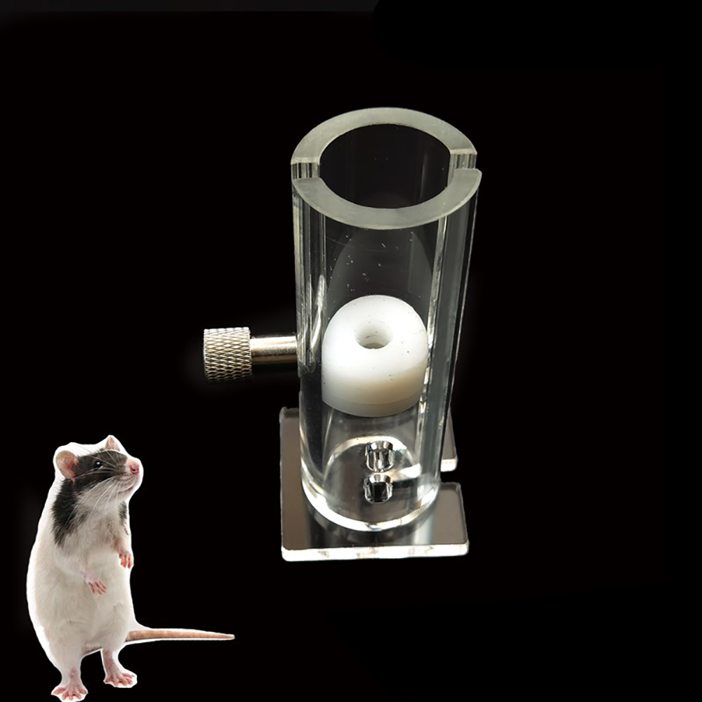 1PCS Mouse Fixation Device Rat 15g 25g 50g 180g 250g Transparent Vertical Science Laboratory Lab Tools Supplies