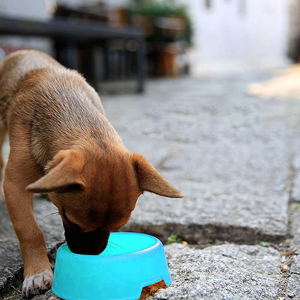 Cuenco de plástico para perros, gatos, perros, comedero, cuenco de agua para mascotas, gatos, cachorros, cuenco de comida, plato de agua, accesorios de colores