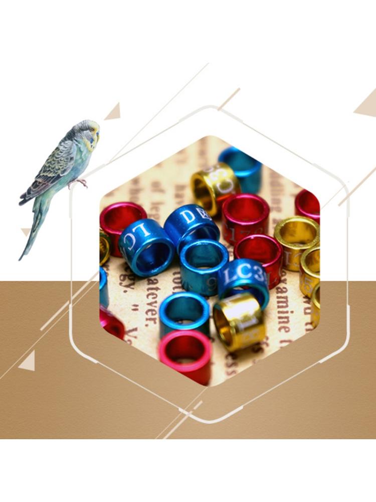 50 Pcs Pigeon Bands Bird 5mm Foot Ring Species Identify Training Rings Pet Bird Label Sign for Pigeon Dove Chicks Small
