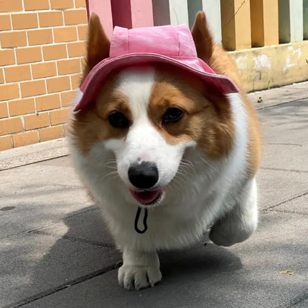 Mignon bouledogue français chapeaux pour animaux de compagnie avec trous d'oreille réglable chiot chien casquette chapeau pour petits chiens moyens carlin mascotas accessoires Costume