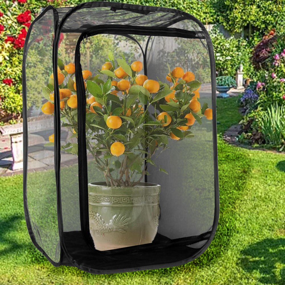 All Black Insect-proof Net Box Plant Greenhouse Net Box Rearing Box Butterfly Insect Rearing Box Bamboo Insect Cage Net