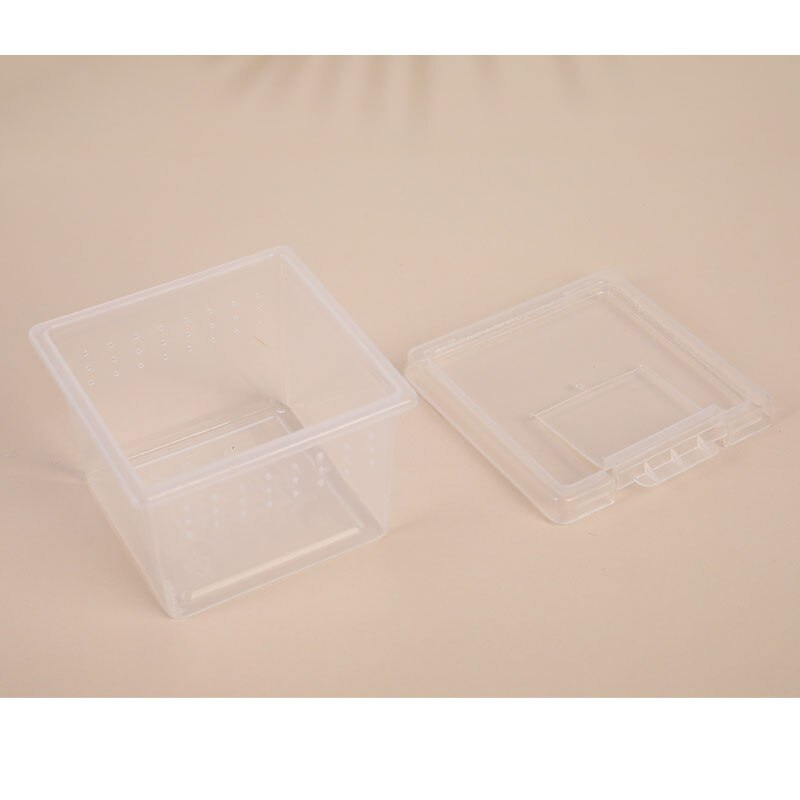 Caja de alimentación para Terrario de lagartos, jaula para reptil, contenedor para incubar, contenedor de cría para Terrario de lagartos, Araña, insecto escarabajo, casa, 1 ud.