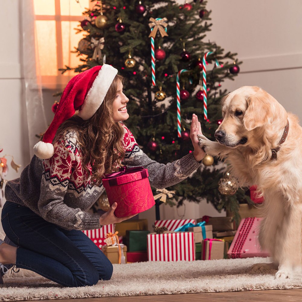 12 stuks decoratieve hangers in de vorm van een zuurstok, hangende kerstboomdecoratie in de vorm van een zuurstok: Stijl 2