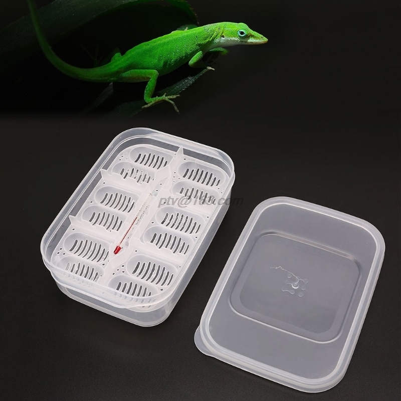 Plastic Reptielen Eieren Incubator Lade Eieren Hatcher Doos Hagedis Gecko Snake Case Amfibieën Fokken Gereedschap Levert 12 Grids