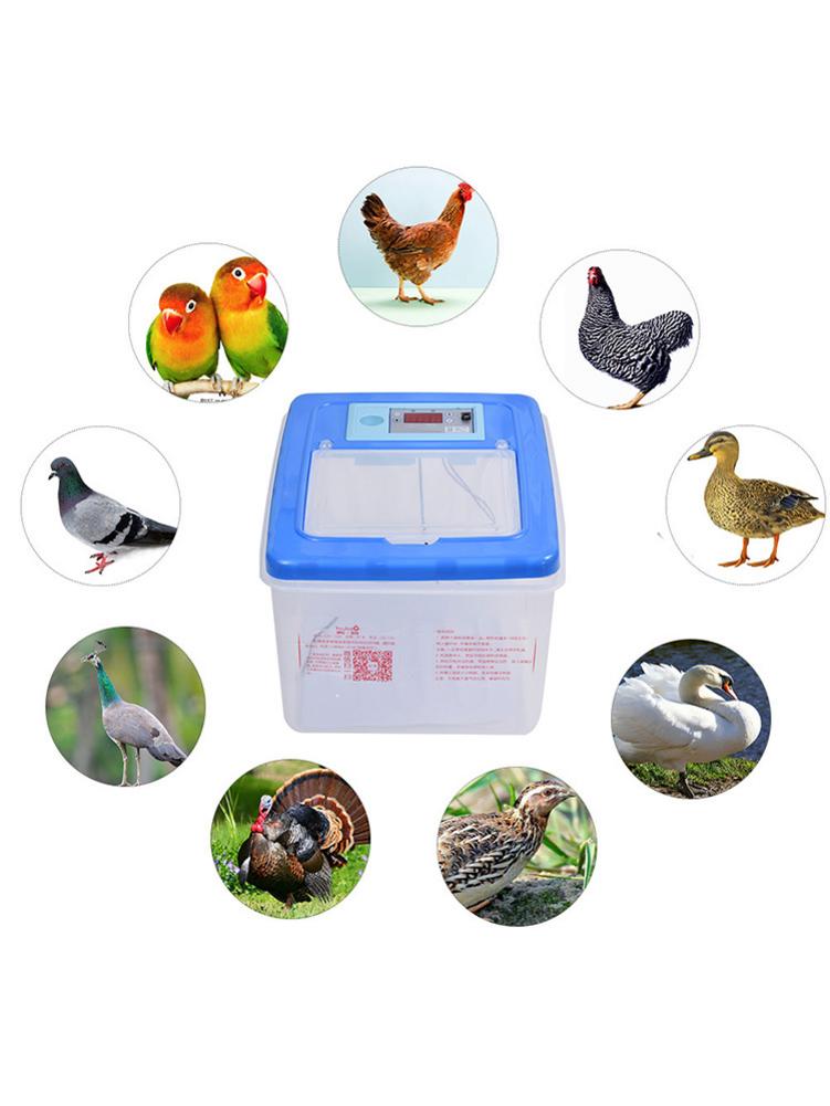 30-34pcs Eggs Automatic Egg Incubator Temperature Control Highly Transparent Egg Breeding Device For Home Use