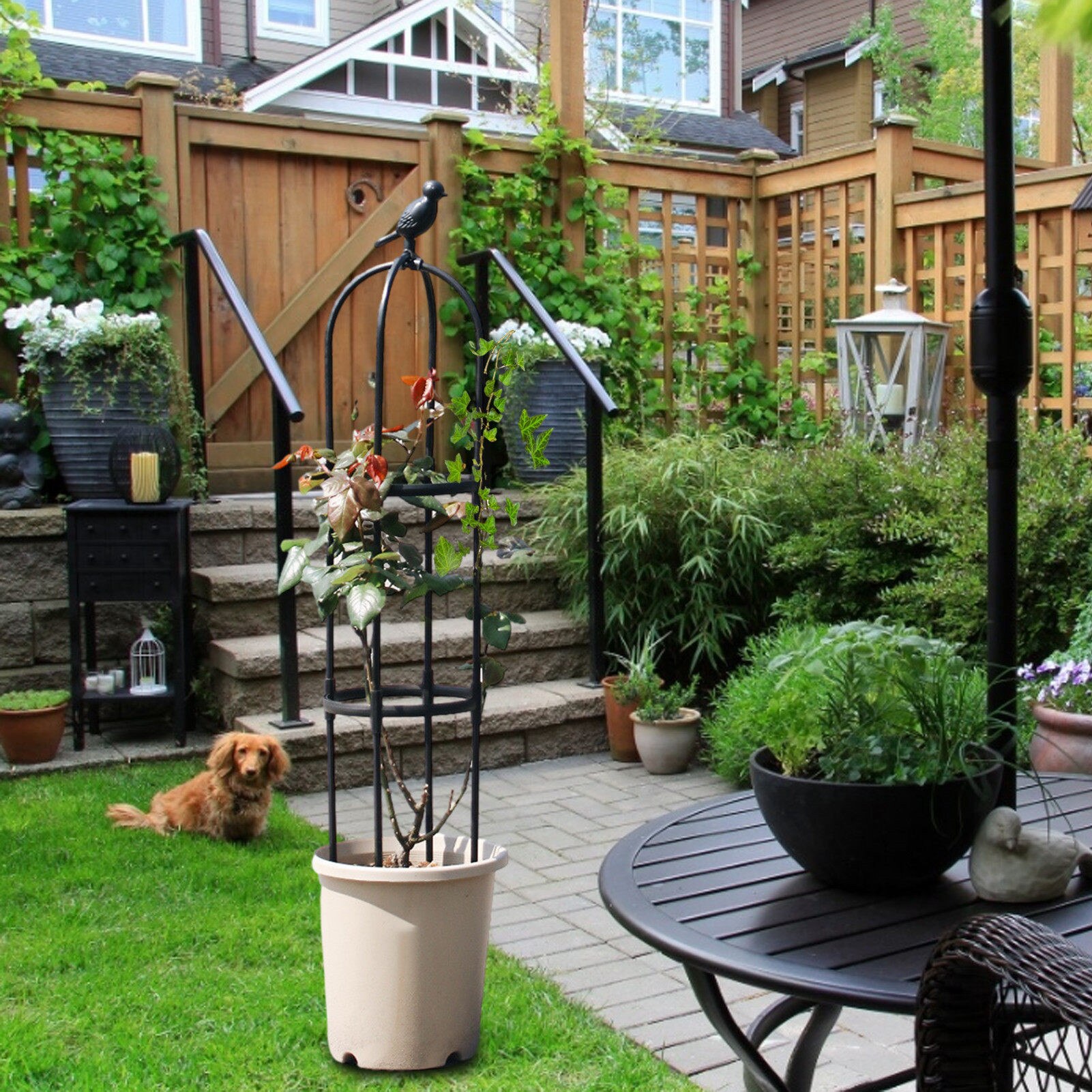 1.2/1.5m Iron Garden Obelisk Climbing Plant Flowers Steel Frame Trellis Vines Floral Decor Yard Round Weather-Proof Iron Brand