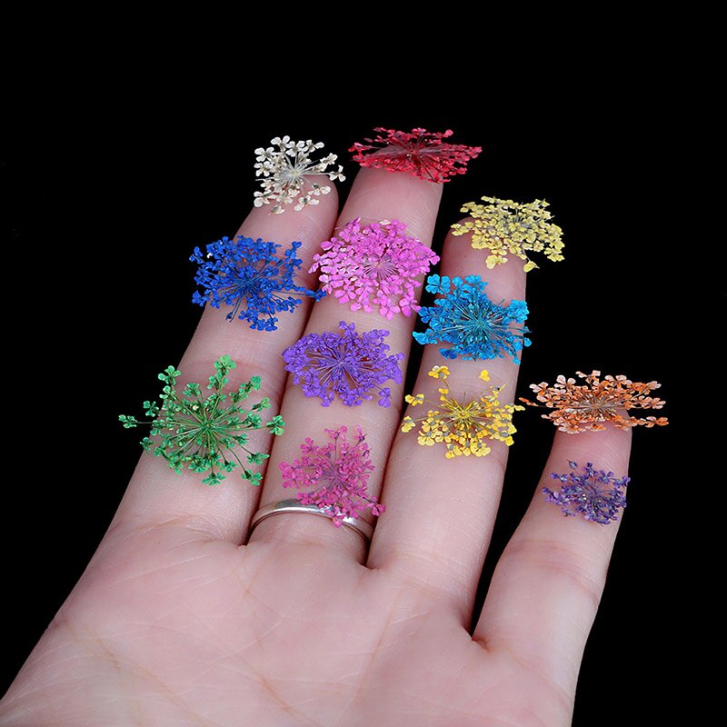 Addfavor Droge Bloemen Nail Art Decoratie 3D Nail Art Bloemen Sticker Babysbreath DIY Tips Manicure Gereedschap 12 Kleuren/Doos