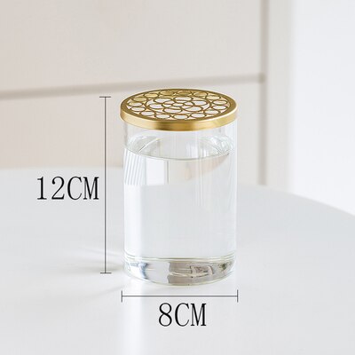 Nordic Transparent Glass Vase Golden Grid Cover Living Room Flower Arrangement Ikebana Decoration Desktop Hydroponic Plants Tool: G