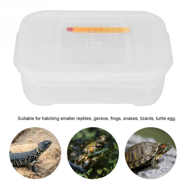 12 gitre slanger gekko firben krybdyr æg inkubator bakke klækkeræske med termometer bakke husdyrbure tilbehør