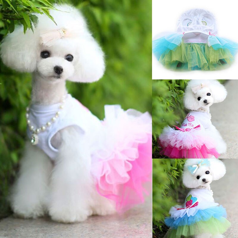 Jurk Voor Kleine Honden Hond Kleding Puppy Sweety Prinses Jurk Mooie Kant Rok Chihuahua Lente Zomer Kostuum Dierbenodigdheden
