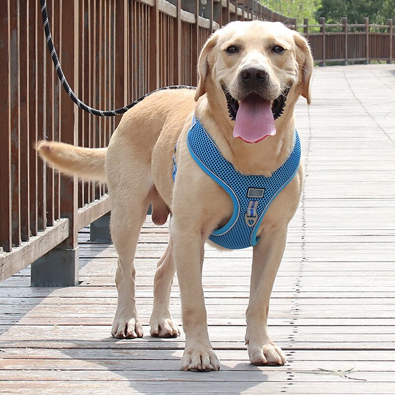 Large Dogs Harness Vest Breathable No Pull Dog Training Harness Adjustable Reflective Pet Harnesses For Pitbull Labrador Collars: Blue / XL