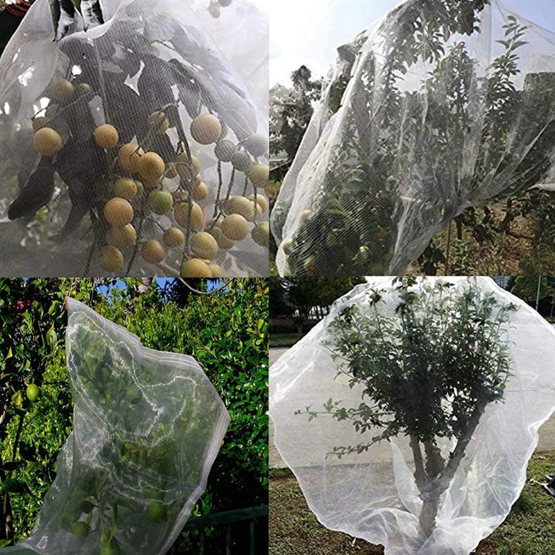 Tuin Netting 3Pcs Tuin Bug Netto Insect Barrière Netting Mesh Plant Cover Voor Protect Boom Plant Bloem Tuin