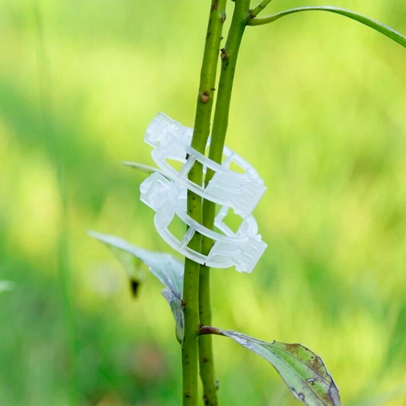 50 Stuks Plastic Plant Ondersteuning Clips 23Mm Herbruikbare Klemmen Voor Opknoping Tomaten Wijnstok Vaste Stand Groei Tuin Kas Levert