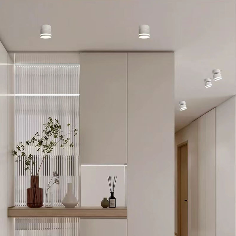 Plafonnier LED monté en Surface, tube lumineux 7W 9W 12W 15W, angle réglable rotatif, éclairage intérieur AC220V 110V