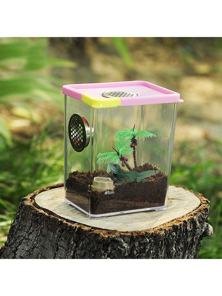 Universal Pet Supplies Reptile Breeding Box Clear Acrylic Reptile Terrarium Feeding Box For Spider Scorpion Snake Reptile Insect