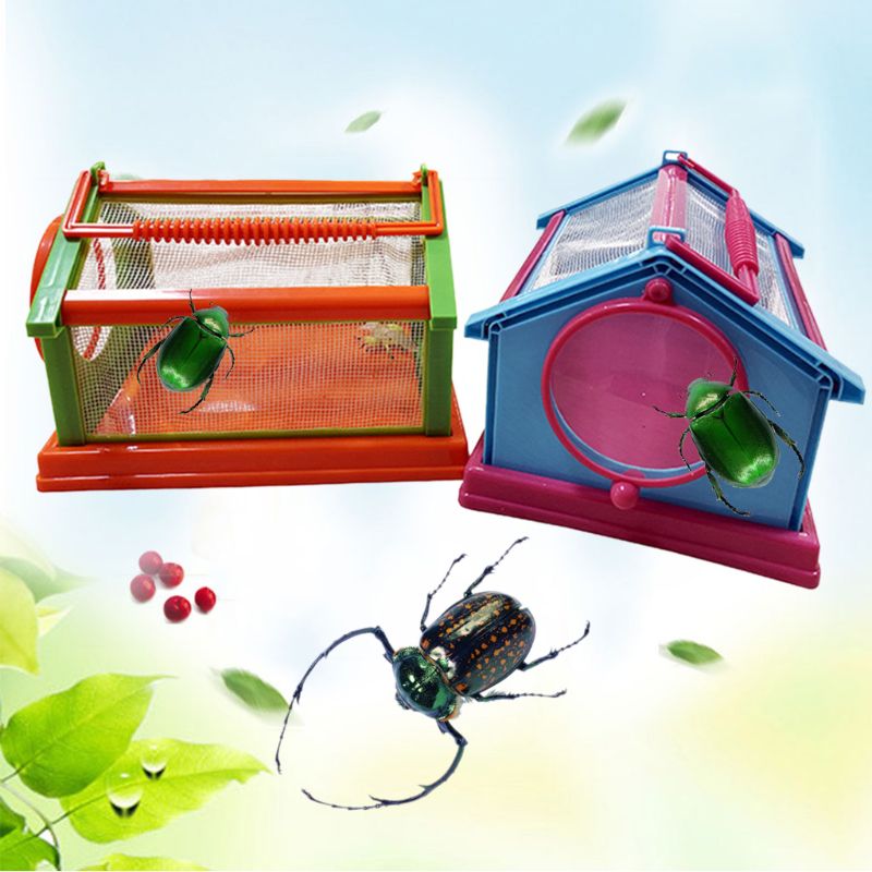 Portable insecte papillon Habitat Cage Terrarium pliant extérieur insecte visionneuse