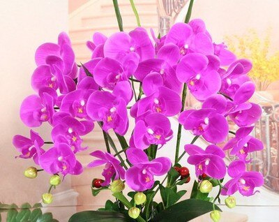 Arrangement de fleurs artificielles de grande taille | En PU, sensation à la main, orchidée, fleur bonsaï, bouquet de fleurs luxueux, uniquement sans vase: color 8 small flower