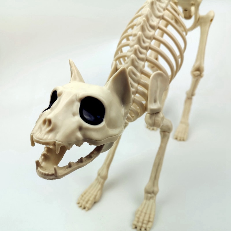 Halloween Decoratie Bone Props Dieren Skelet Ornament Botten Hallowmas Horror House Party Decoratie