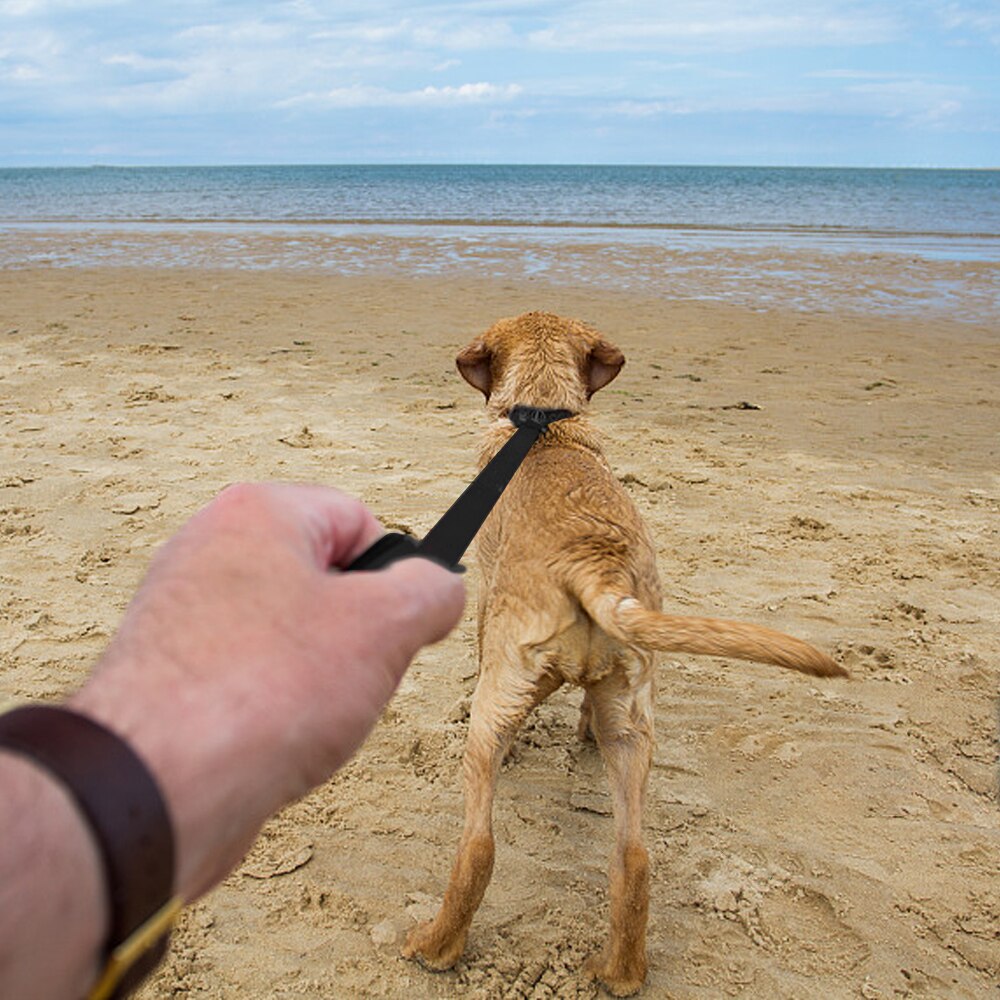 5M Super Long Nylon Cat Lead Leash Pet Traction Rope Adjustable Outdoor Walk Training Leashes Large Labrador Small Puppy Cat