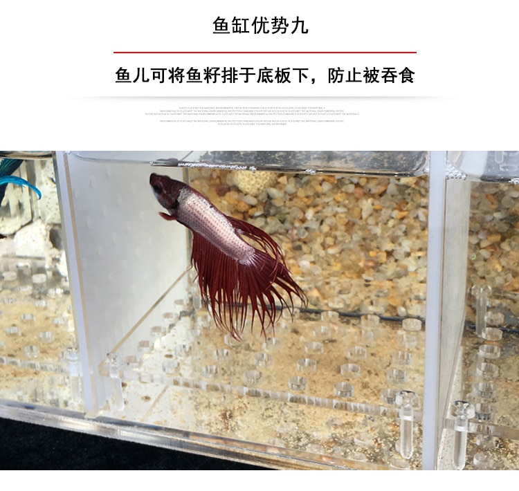 Betta Fish Tank Guppies Breeding Hatching Isolation Box Acrylic Special Group Row Cylinder Live Desktop Ecological Creativity