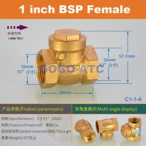 DN15/DN20/DN25 1/2 3/4 1 inch brass In-Line spring vertical check valve for Water meter female male one way valve: C1-1-4