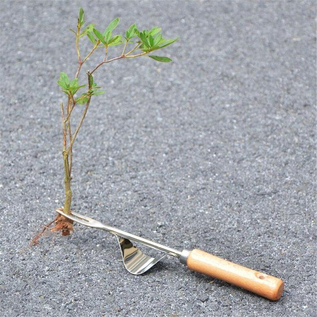 Outils de greffe de fourche en acier à main outils de creusement d'extraction manuel de Taproot pour outils de plantation et de brosse de jardin