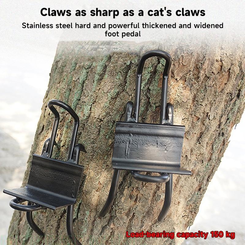 R6FE albero ALTRE tutto'ACCOLA STRUMO STRUMO STRUMO STRUMATO STRUMATIVA STRUMENTI STRUMENTI ALLAMENT POLI CLEACHING POLCI POLI