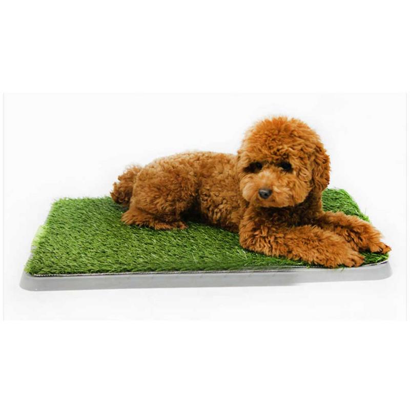 3-layer Outdoor Indoor Potty Training Tray Large Dog Grass Potty Artificial Turf Potty Tray Pee Padm for Small Dog: Default Title
