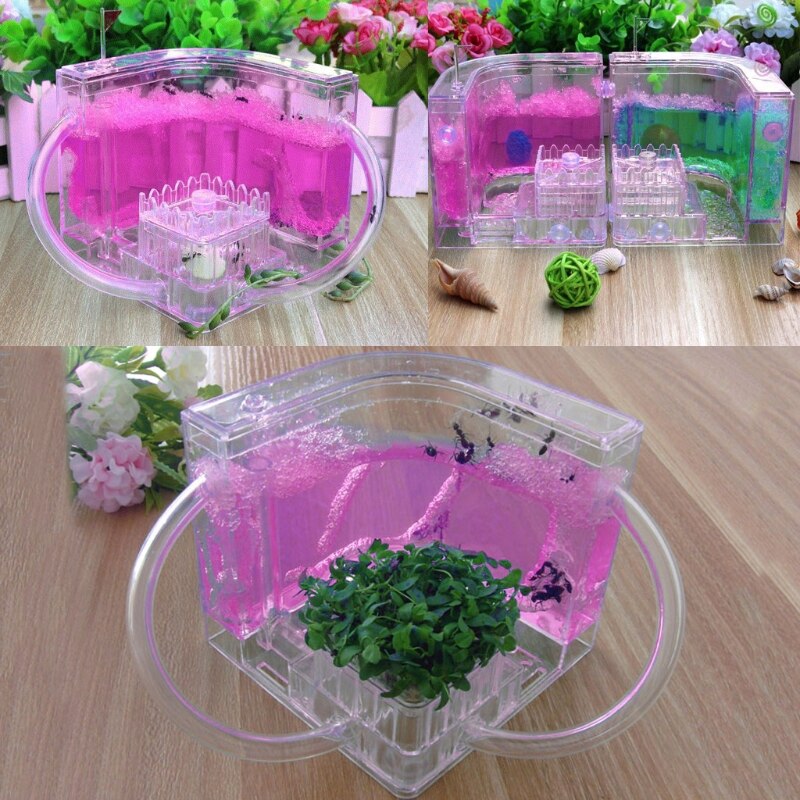3D Ant Farm Educational Maze Live Feeding System Ants Habitat World Pet Villa 67JB