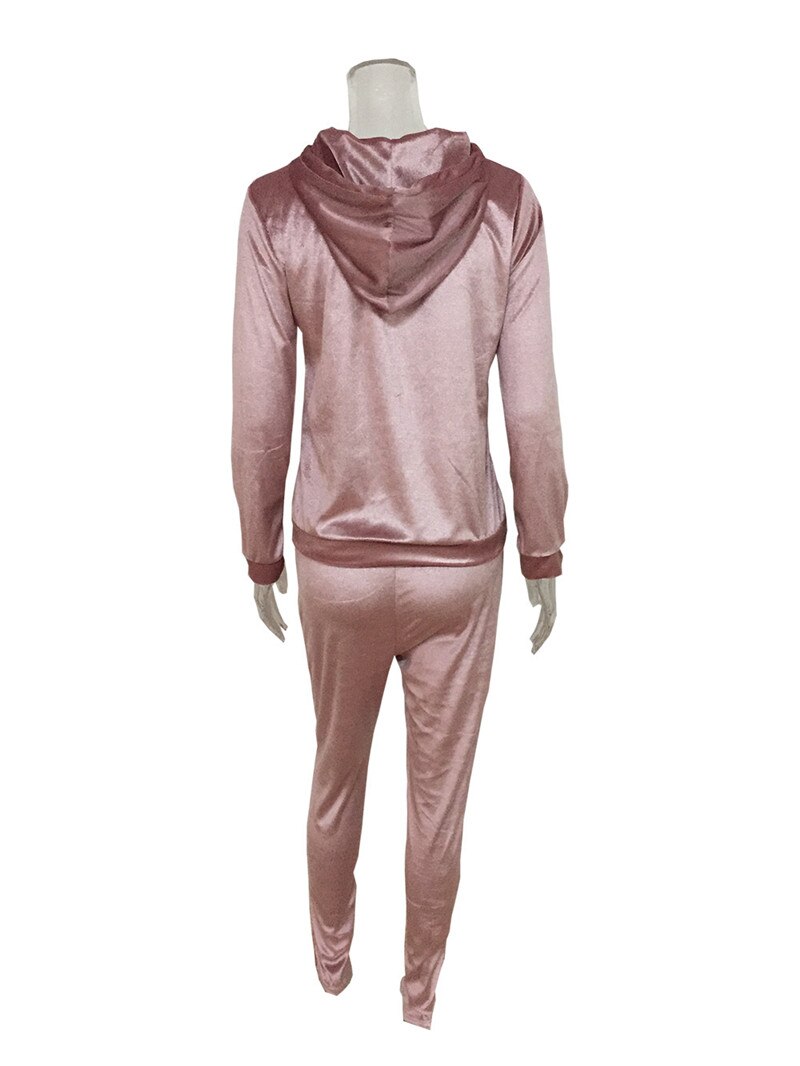 Lente Velours Trainingspak Vrouwen Sets Zip Hoodie Top En Broek Tweedelige Set Fluwelen Trainingspak Zweetkostuums Outfits Conjunto Feminino