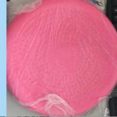 33cm balanse yoga baller massasje pute hjul stabilitet balanse skive massasje pute matte ball fitness trening trening ball: Rosa