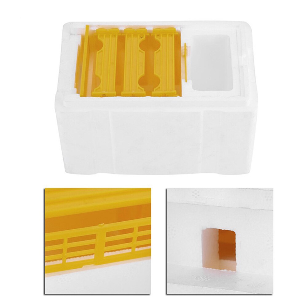 Foam Bee Mating Box with Grid Warmkeeping Waterproof Queen Breeding Case 24.1x15x14.1cm Beekeeping Tools for Pollination J2Y