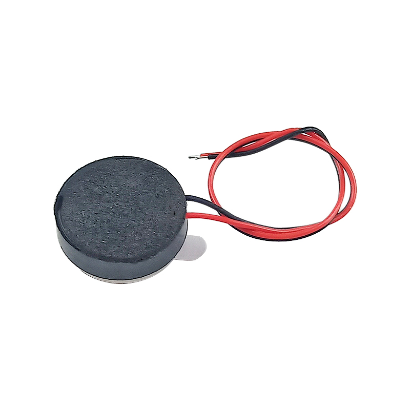 Ghxamp 13mm benledningshögtalare 8 ohm bluetooth-hörlurar musik klubbhorn 2 st