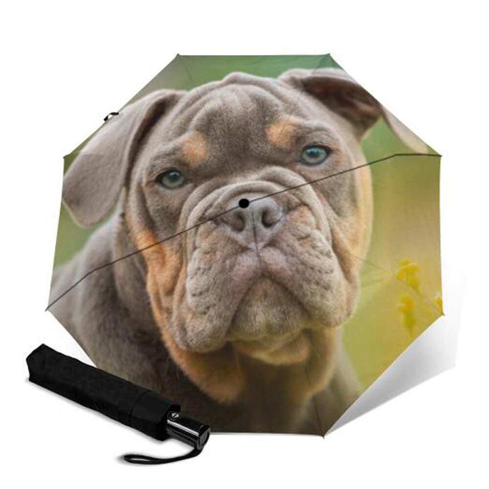 Puppy Dog Folding Automatic Umbrella Sun Girl Parasol Three-fold Umbrella Durable Sun Umbrellas Outdoor Paraguas Parapluie: YSA1185
