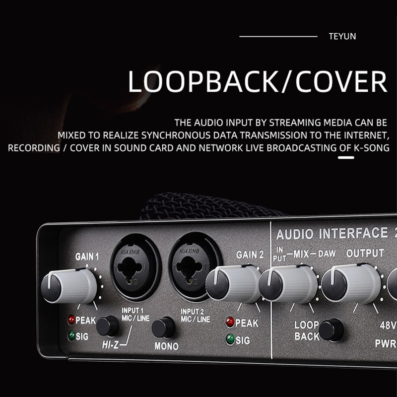 Interface 2-in, 2-out Sound Card with USB Cable for PC Mobile Recording Kits with Signal Lamp,Peak Lamp,Power Lamp