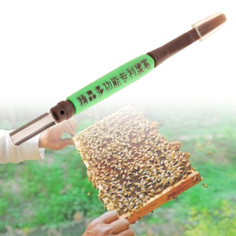 Spatule de scrapbooking pour abeilles, stylo pour apiculture, gelée royale, grattoir pour reine, outil de greffage, prise de Pollen d'abeille L5YE