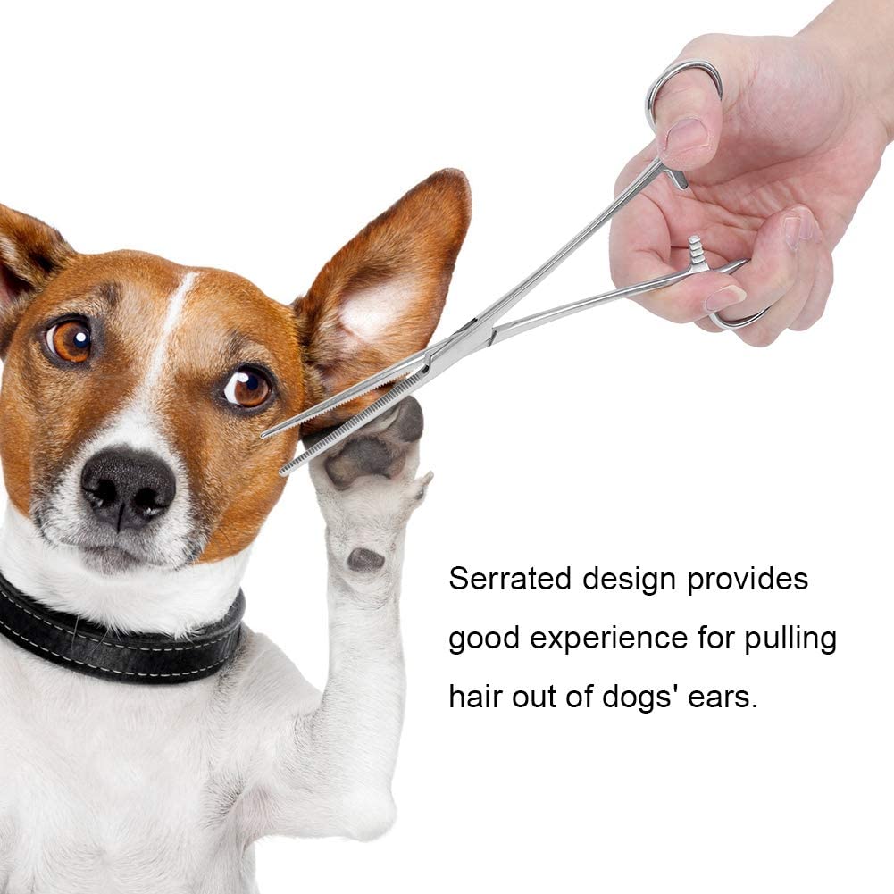 Pinzas de pelo de oreja de nariz de perro de acero inoxidable, pinzas de bloqueo hemostático, rectas y curvadas con sujeción de mandíbulas dentadas, alicates de pesca