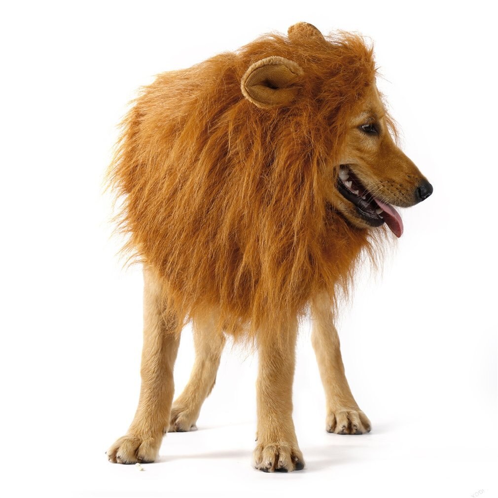 Disfraz de Animal mascota, pelucas de León, pelo de Melena, bufanda, vestido de , ropa de perro, disfraz de , vestido para perro