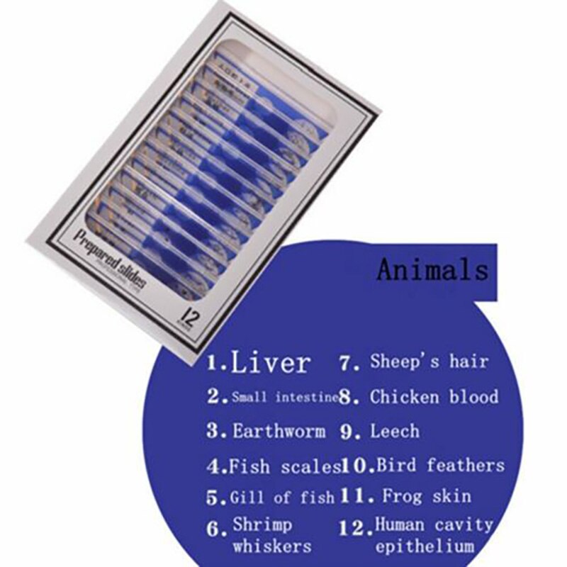 48Pcs Kids Plastic Microscoop Bereid Dia Insecten Planten Groenten Exemplaren Microscope Slides Plastic Cover Slips