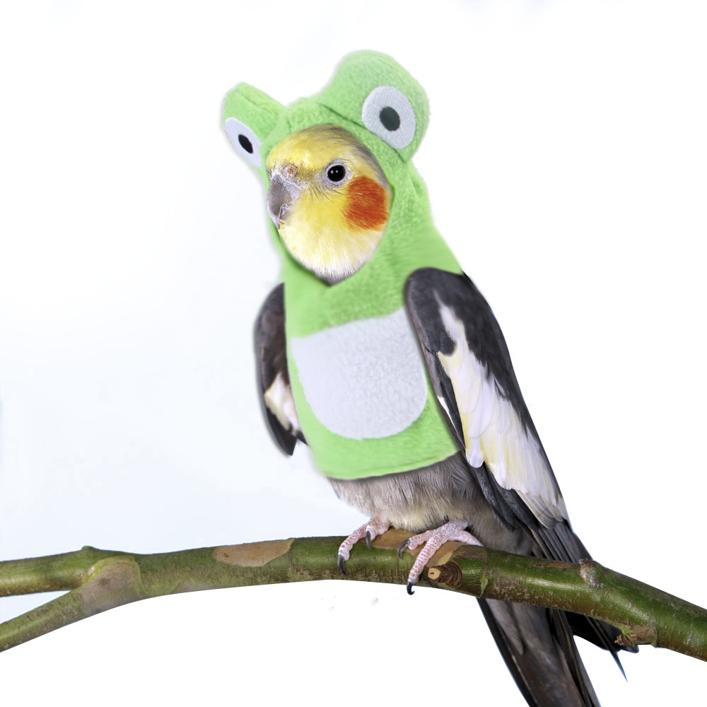 Schattige Huisdieren Hoodie Kikker-Vormige Mouwloze Hooded Trui Kleding Voor Papegaai Kleine Huisdieren